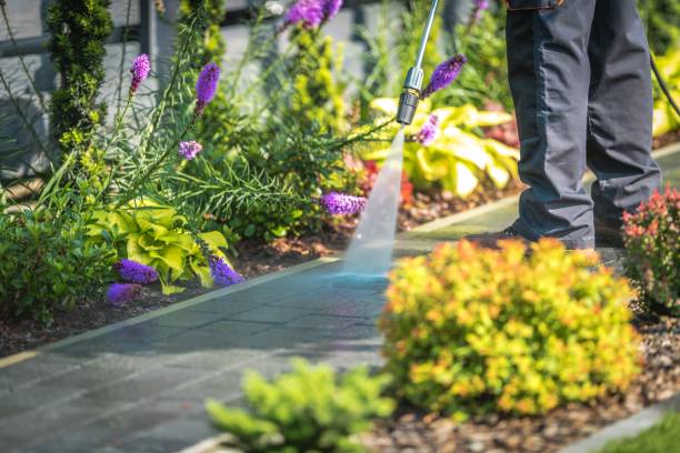 Best Restaurant Pressure Washing  in Kennewick, WA